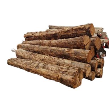 12 फीट दीमक प्रूफ बर्मा टीक वुड 500 किलोग्राम प्रति घन मीटर घनत्व के साथ कोर सामग्री: लकड़ी 
