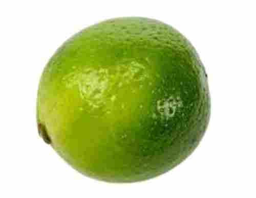 Indian Origin Fresh Naturally Grown Round Shape Sour Lemon