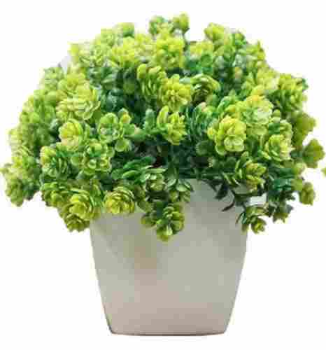 27 X 75 X 7 Cm And 180 Grams Painted Artificial Plants For Decoration