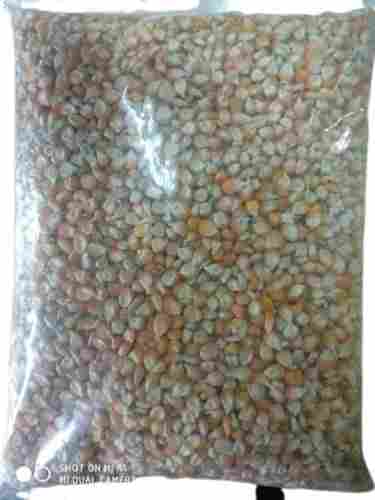 Commonly Cultivated Natural Raw Pure Dried Maize (Corn) Pearl Millet For Cooking