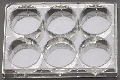 6 Well Cell Culture Plate For Laboratory Application: Commercial