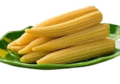 Medium Size Naturally Grown Common Cultivated Fresh Baby Corn Admixture (%): 2.5%
