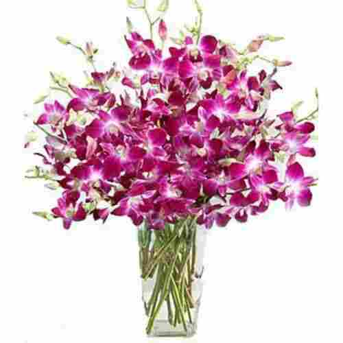 28 Centimeter Fresh Orchid Flower Bunch For Decoration