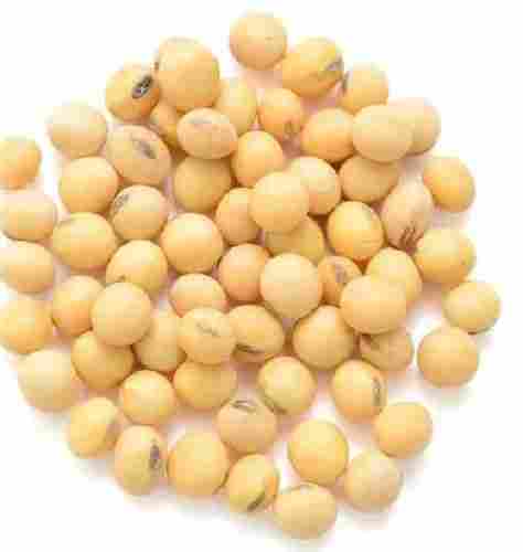 96% Pure And Sunlight Dried Commonly Cultivated Hybrid Soybean Seed 