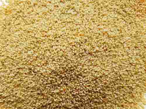 White And Brown Natural Poppy Seeds For Cooking Use