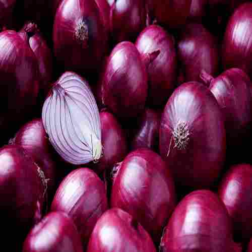 Export Quality 100% Organic Farm Fresh Whole Red Onion