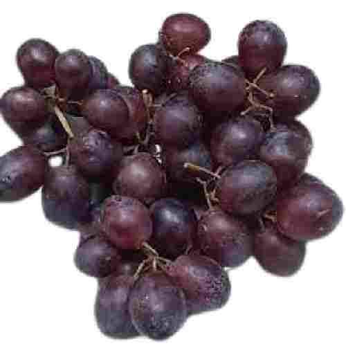 Indian Origin Natural Sweet Taste Round Shape Medium Sized Black Grapes
