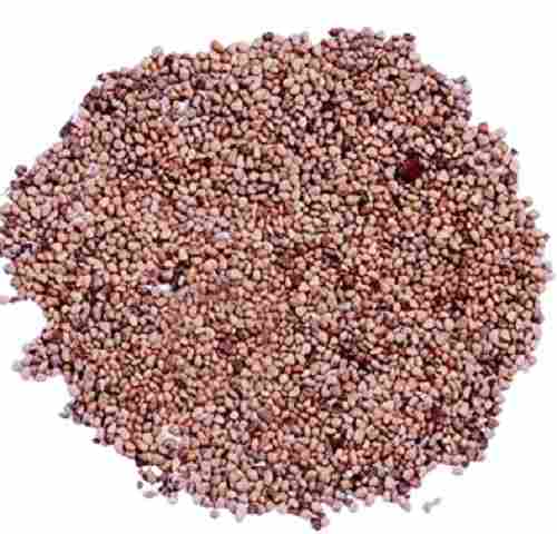 Dried Raw Guava Fruits Seeds
