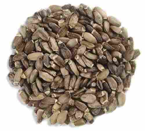 99% Pure 5% Moisture Organic Cultivation Silybum Marianum Herbal Seeds