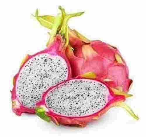 Delicious And Healthy LYRS Hybrid Dark Star Dragon Fruit