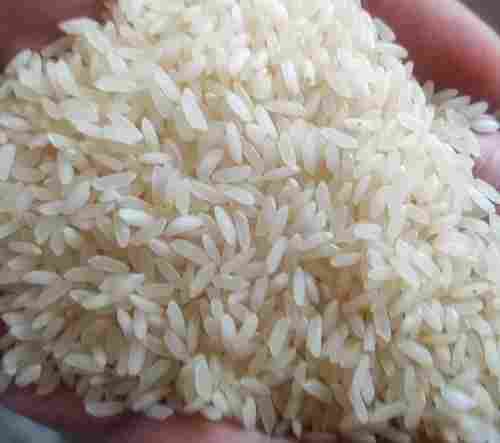 Solid Medium-Grain Healthy To Eat Dried Organic Cultivated Style Rice