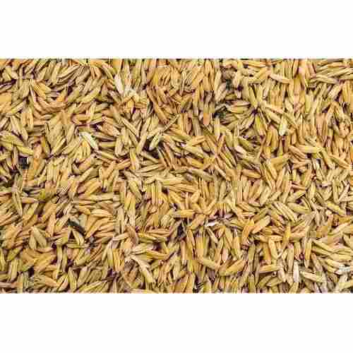 Pure And Dried Rich In Fiber Rice Husk For Cattle 