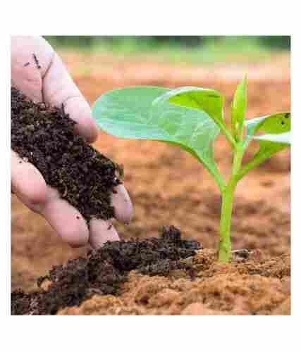 Bio Grade Organic Vermicompost For Quick Growing Crops