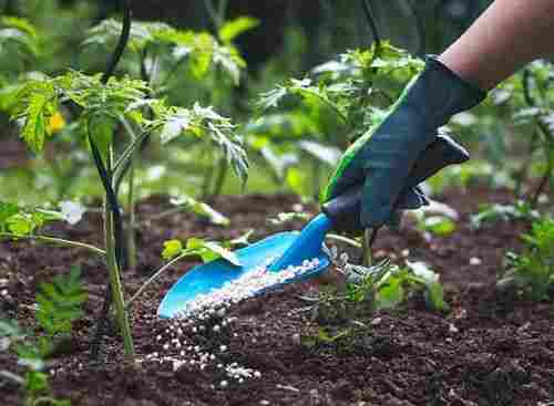 Natural Organic Bio Fertilizer For Agriculture Crop Growing Use