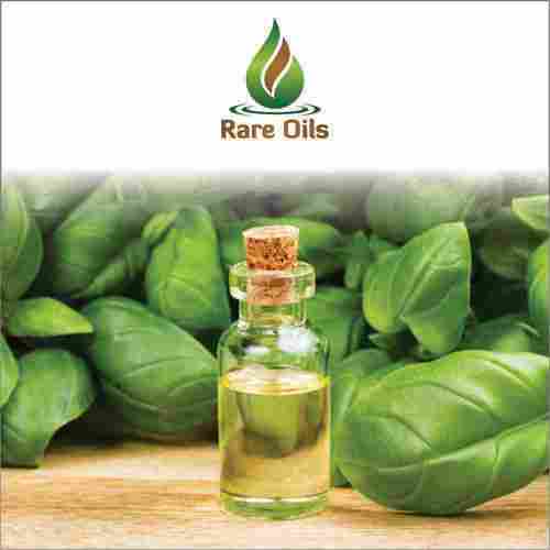 Natural Basil Essential Oil