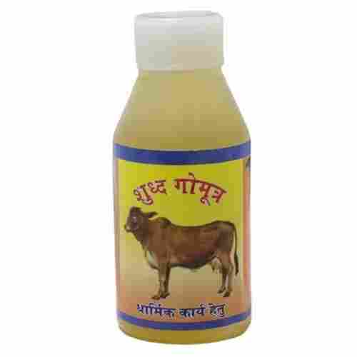 Transparent Pale Yellow Cow Urine For Personal Usage