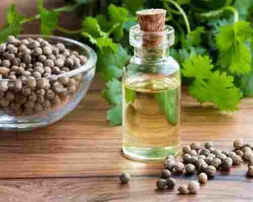 Appetite Stimulant Slightly Woody Smell Coriander Seeds Oil