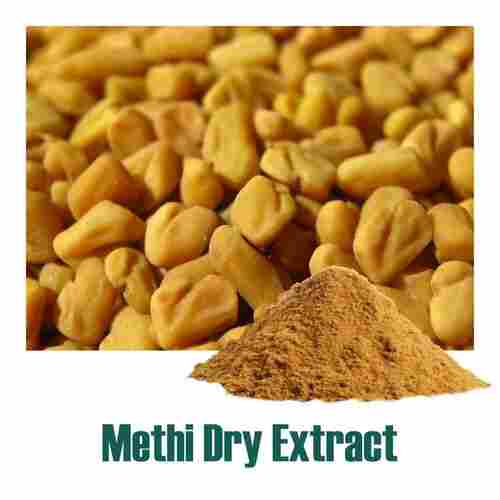 Dried Trigonella Foenum Graecum Extract (Methi) Powder