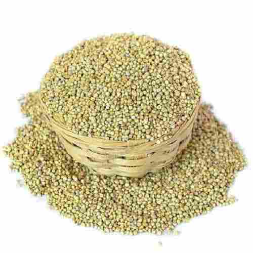 Natural Sun Dried Organic Pearl Millet For Cooking Use