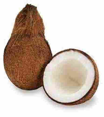 Whole Part Fully Husked Commonly Cultivated Diamond Shape Fresh Coconut 