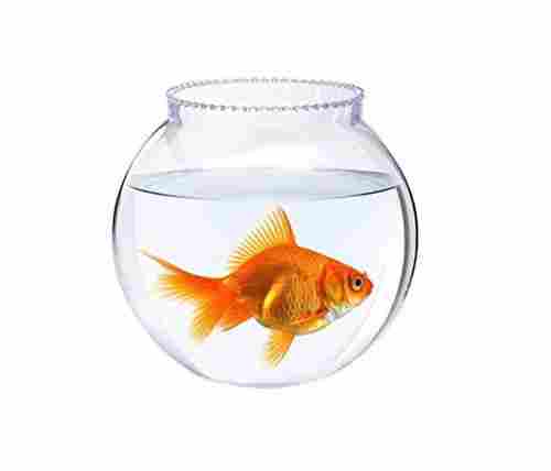 14x18x18 Cm Round Transparent Glass Fish Bowl For Decorations