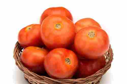 Pure And Natural Round Juice Raw Fresh Tomatoes For Cooking