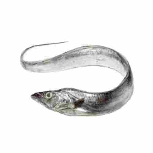 Hygienically Packed Healthy Disease Free Fresh Whole Ribbon Fish