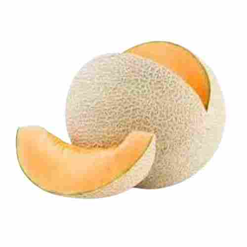 Pure And Natural Commonly Cultivated Fresh Round Sweet Muskmelon