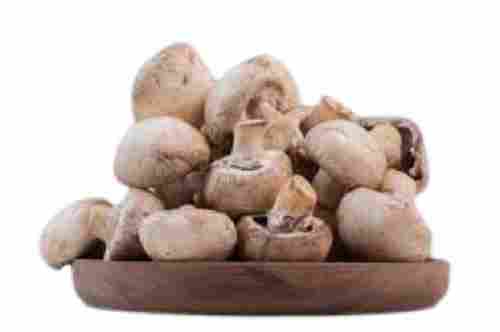 Commonly Cultivated Raw Small Size Fresh A Grade Healthy Mushroom