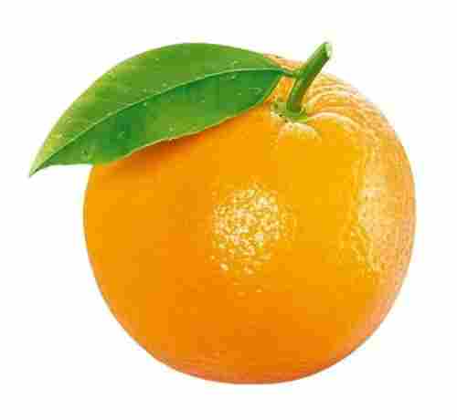 Orange Fruit