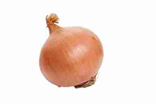 No Artificial Color Fresh Round Shape Brown Onion