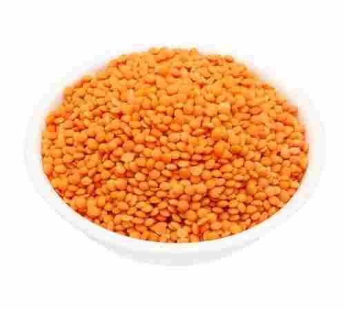 Pure And Dried Commonly Cultivated Raw Whole Masoor Dal For Cooking