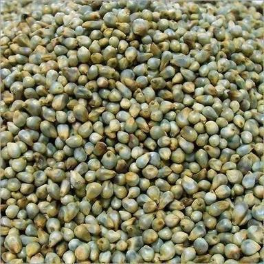 Pure And Natural Commonly Cultivated Dried Raw Green Millet Admixture (%): 00