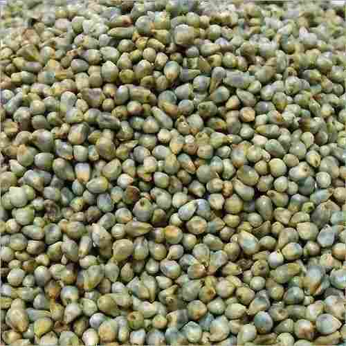 Pure And Natural Commonly Cultivated Dried Raw Green Millet