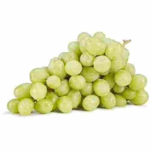 Delicious And Sweet Taste Ovel Shaped Natural Open Air Grapes