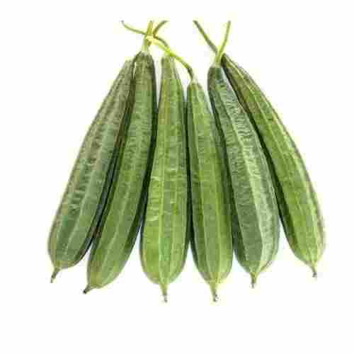Natural And Pure Fresh Whole Ridge Gourd For Cooking