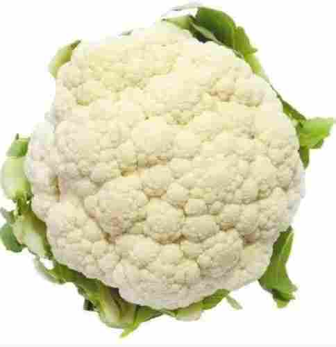 Pure And Natural High In Fiber Raw Whole Fresh Cauliflower