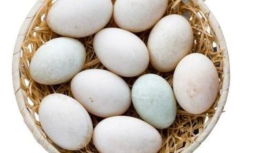 Original Farm Fresh Duck Egg Egg Size: Standard