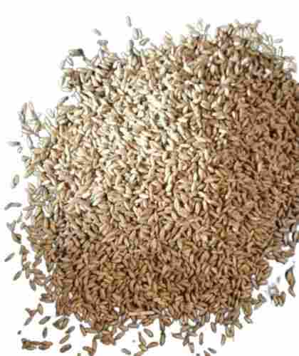 99% Pure Commonly Cultivated Hybrid Grass Seed with 12 Months Shelf Life