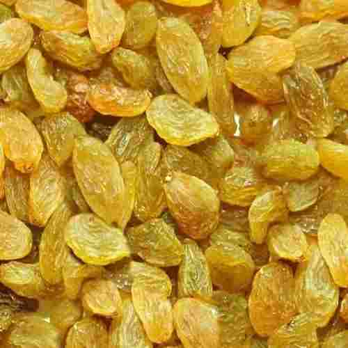 Commonly Cultivated Glutinous Whole Pure And Natural Dry Grapes