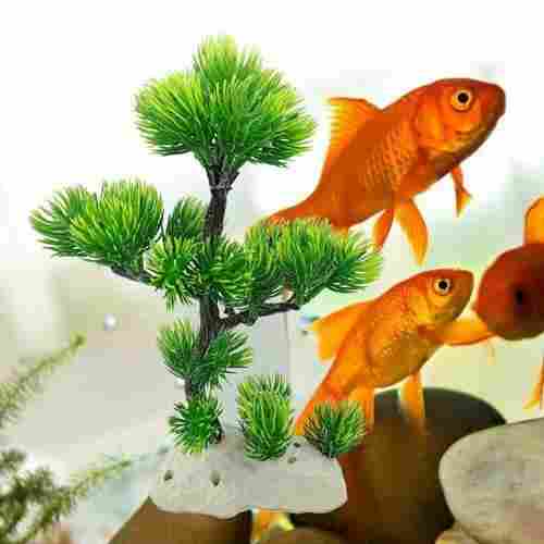 Glass Fish Aquarium For Home Decoration