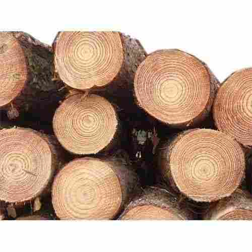 75 Mm Thick Round Termite Proof Eco Friendly Solid Pine Wood Logs 
