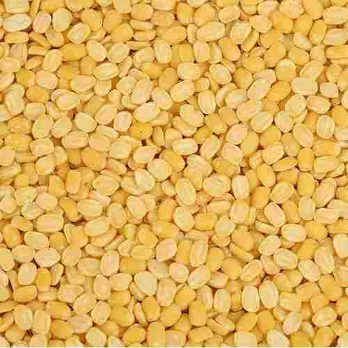 Commonly Cultivated Sunlight Dried Fresh Pulse Common Bean Moong Dal