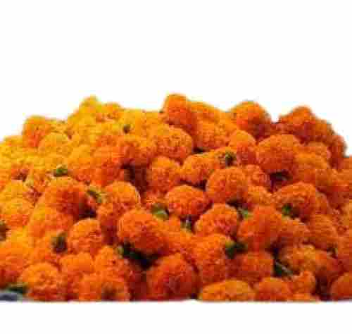 6 Inches Size Fresh Marigold Flower