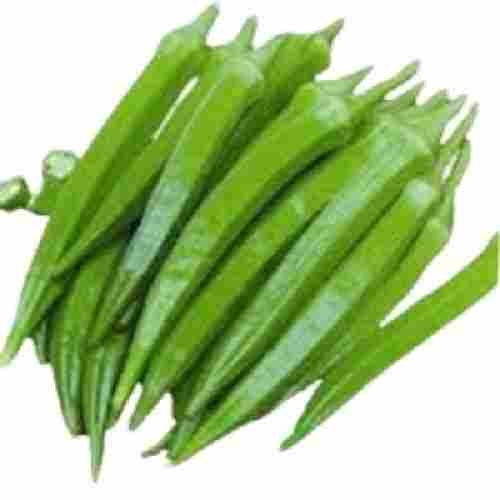 Raw Processed Farm Fresh Long Healthy Natural Lady Finger