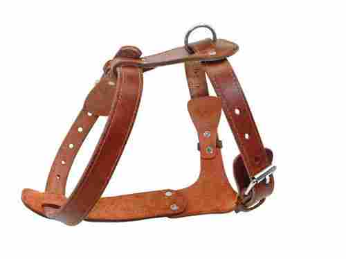 Leather Dog Harness For Walking And Training Use