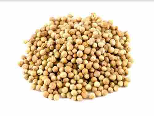 Natural And Pure Dried Raw Commonly Cultivated Coriander Seed