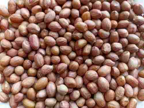 Pure And Dried Raw Commonly Cultivation Groundnut Kernels