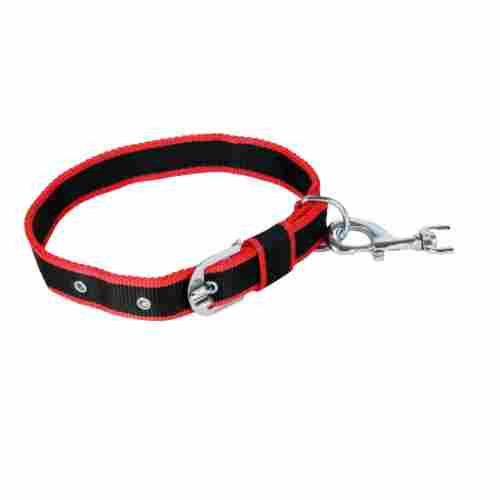 10 Inches X 2 Inches Wide Lightweight Steel And Nylon Adjustable Pet Collar