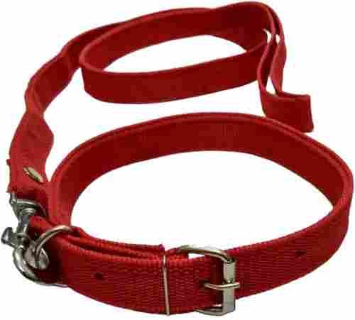 15 Inches Long Lightweight Stainless Steel And Nylon Adjustable Buckle Dog Collar
